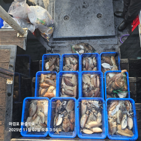 ꫛꫀꪝ✧‧˚ 태안 마검포 新출항호 .• _˚☀₊_사진_20251107_2.jpg