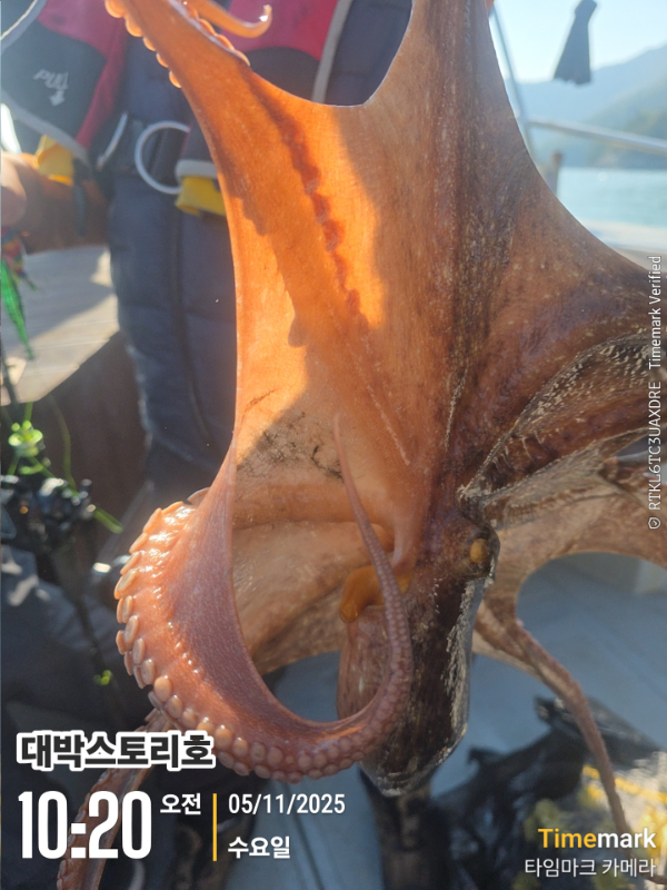2025-11-05 10.20.20__(대박스토리호).jpg