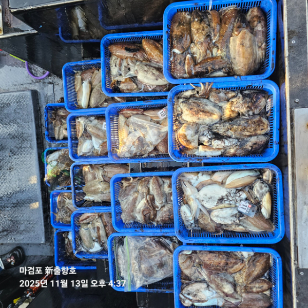 ꫛꫀꪝ✧‧˚ 태안 마검포 新출항호 .• _˚☀₊_사진_20251113_8.jpg