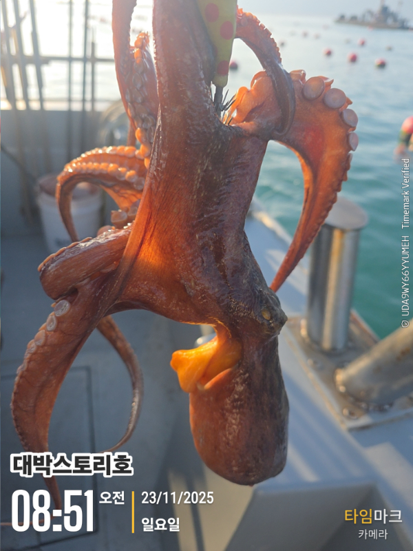 2025-11-23 08.51.17__(대박스토리호).jpg