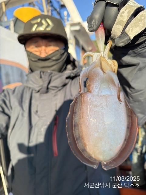 군산 선상낚시, 바다낚시 출조 전문 ☆서군산낚시☆_사진_20251103_14.jpg