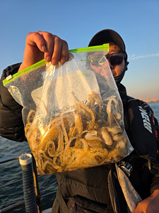 인천쭈꾸미낚시 (21).jpg