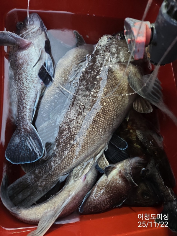 최강피싱 063.463.0800_사진_20251122_26 - 복사본.jpg