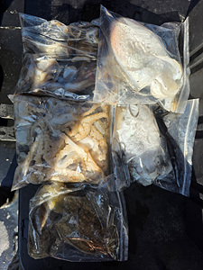 인천쭈꾸미낚시 (30).jpg