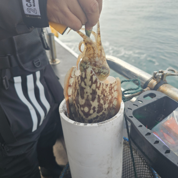 마검포 대한호(VIP)_사진_20251111_2.jpg