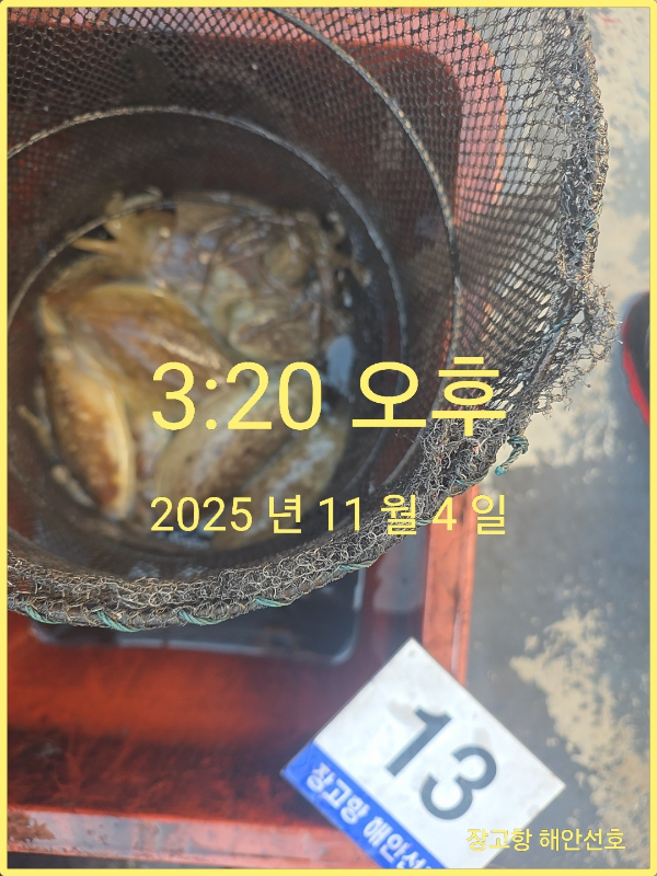 KakaoTalk_20251104_152716218_03.jpg