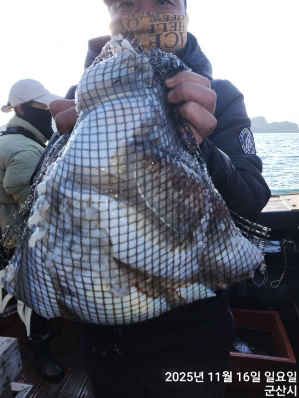 군산 선상낚시, 바다낚시 출조 전문 ☆서군산낚시☆_사진_20251116_12.jpg