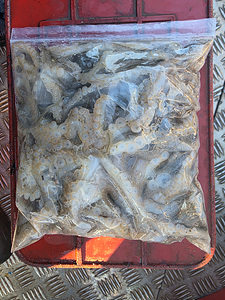 인천쭈꾸미낚시 (5).jpg