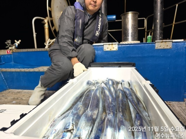 11월5일대갈치 (1).jpg