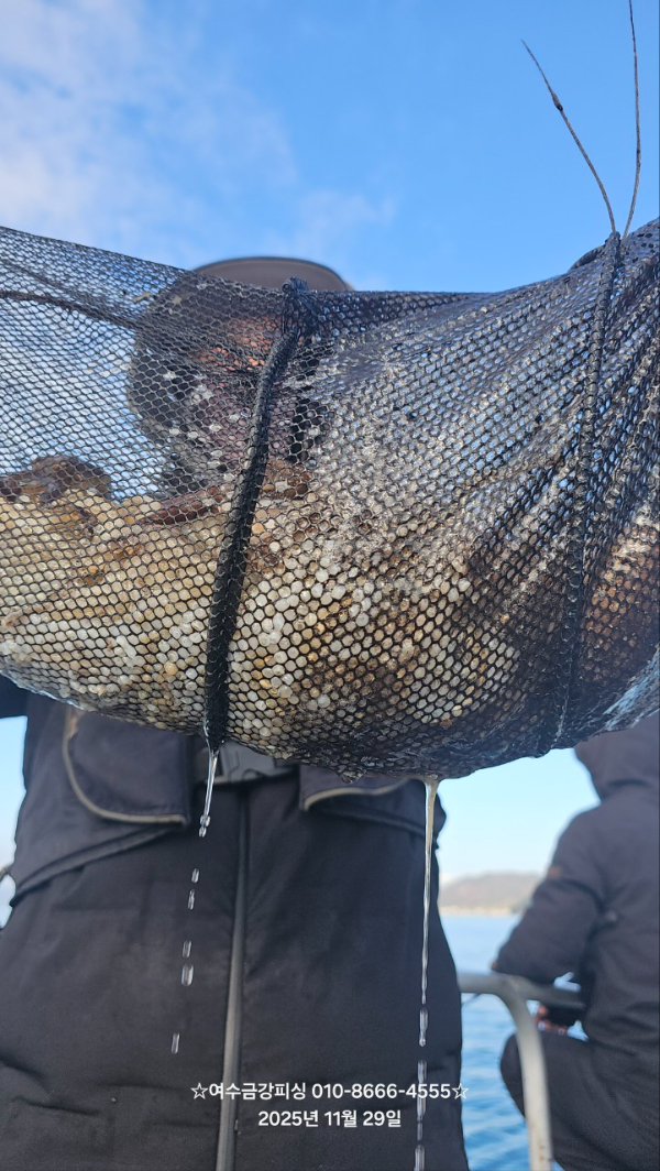 여수금강피싱_사진_20251129_6.jpg