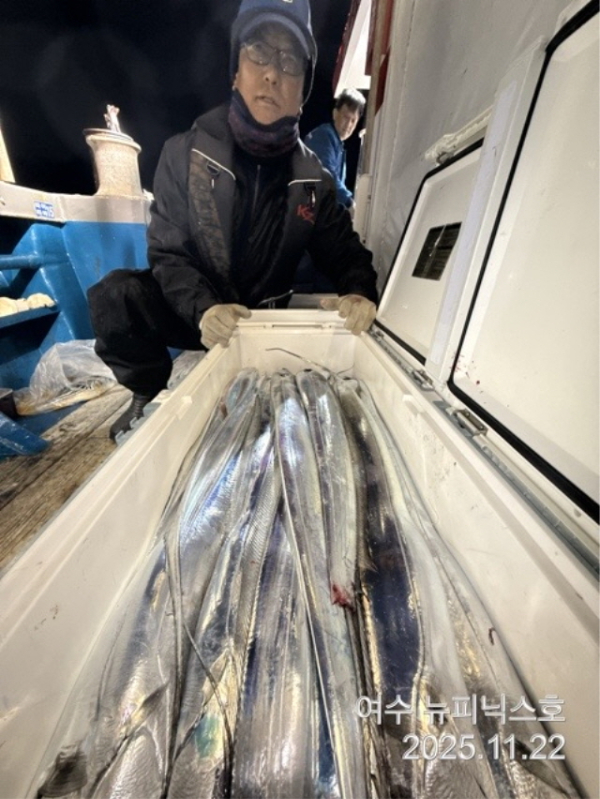 20911월22일갈치 (13).jpg