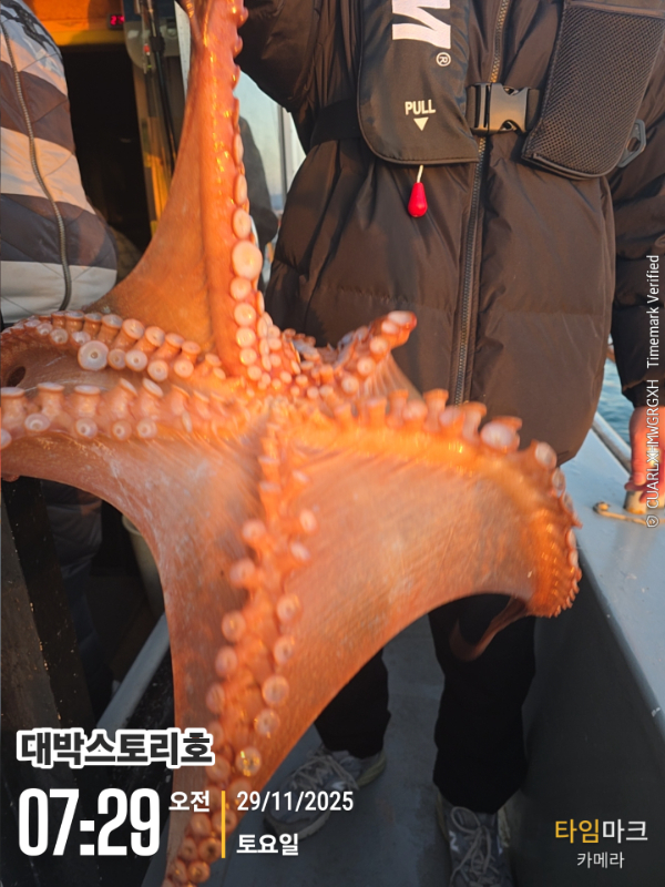 2025-11-29 07.29.40__(대박스토리호).jpg