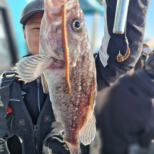 인천바다낚시 (18).jpg