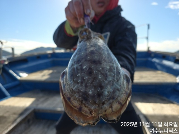 11월11일왕쭈 (27).jpg