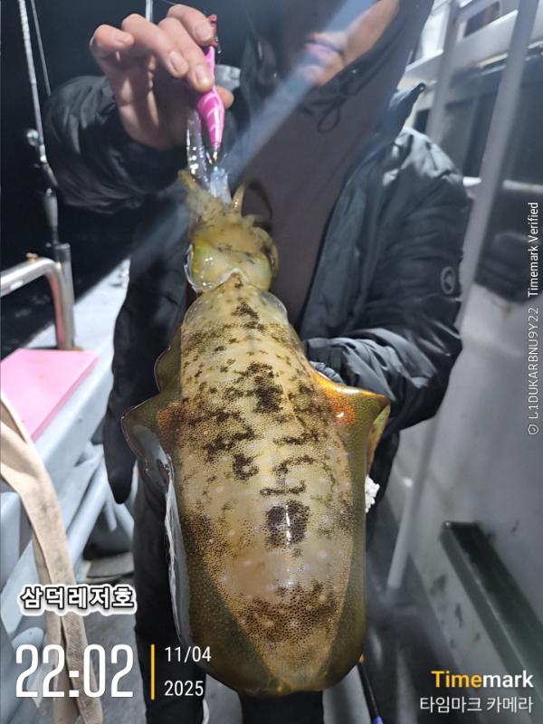 2025-11-04 22.02.48_.jpg