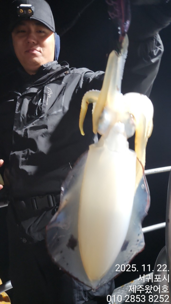 제주왔어호_사진_20251122_5.jpg