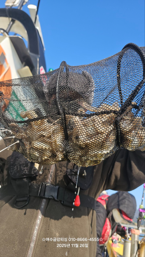 여수금강피싱_사진_20251126_16.jpg