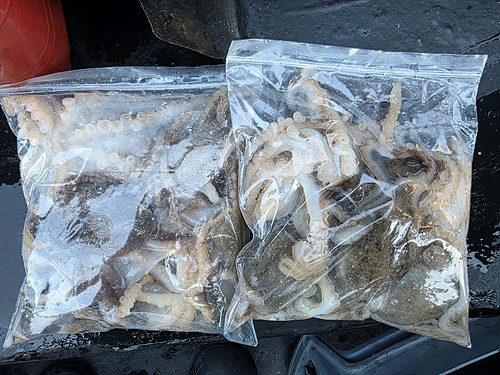 인천쭈꾸미낚시 (4).jpg