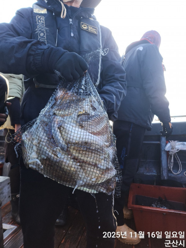 군산 선상낚시, 바다낚시 출조 전문 ☆서군산낚시☆_사진_20251116_13.jpg