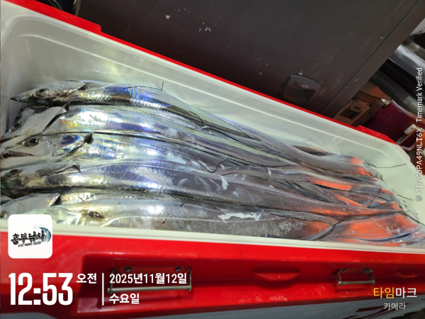 2025-11-12 12.53.14_.jpg