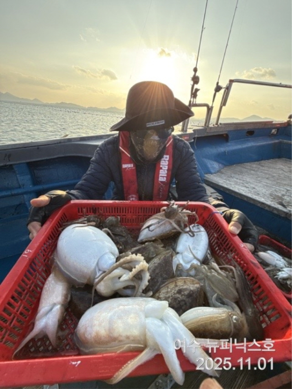 11월1일왕갑오징어 (5).jpg