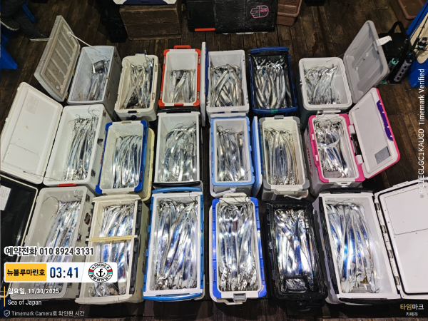 2025-11-30 03.41.38_Japan_(제목-뉴블루마린호)_(예약전화 010 8924 3131).jpg