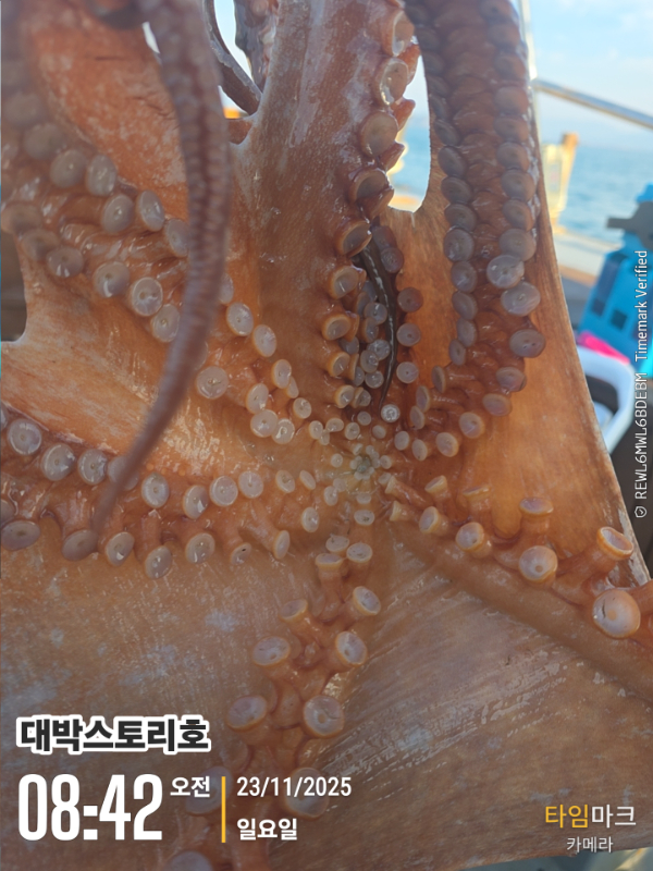 2025-11-23 08.42.07__(대박스토리호).jpg