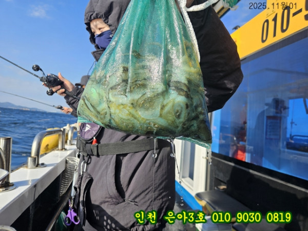 11월01 3호 (10).jpg