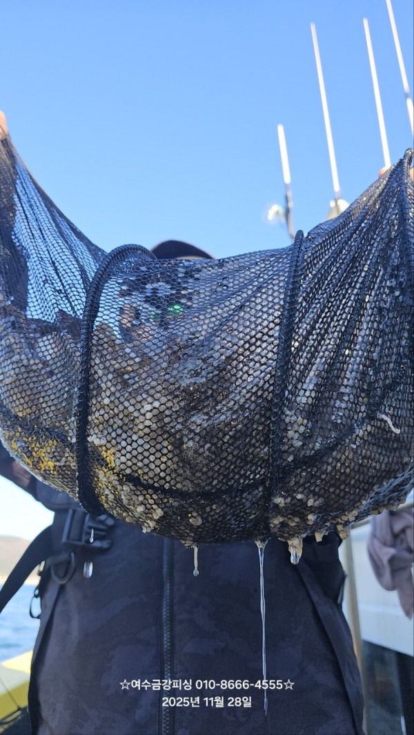 여수금강피싱_사진_20251128_4.jpg