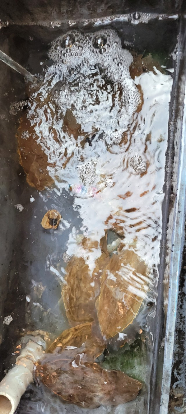 예지퀸호 농어외수질&어초낚시 경기인천권_사진_20251109_9.jpg