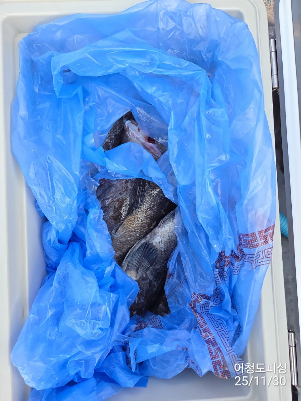 최강피싱 063.463.0800_사진_20251130_30.jpg