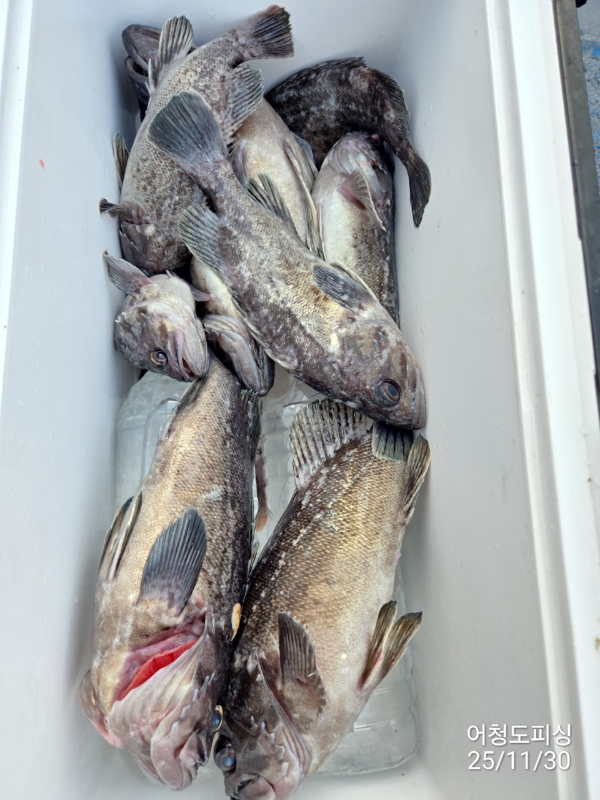 최강피싱 063.463.0800_사진_20251130_26.jpg