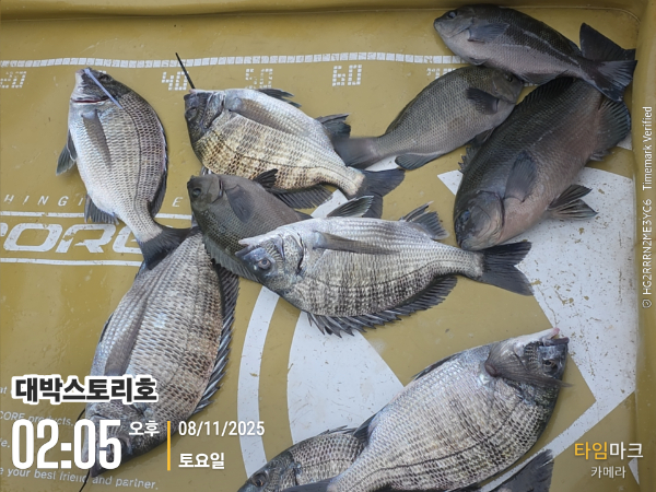 2025-11-08 02.05.11__(대박스토리호).jpg