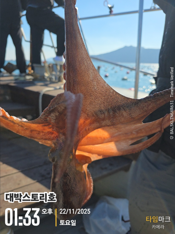 2025-11-22 01.33.28__(대박스토리호).jpg