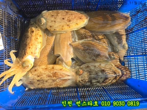 11월06 썬 (11).jpg