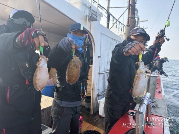 군산 선상낚시, 바다낚시 출조 전문 ☆서군산낚시☆_사진_20251105_13.jpg