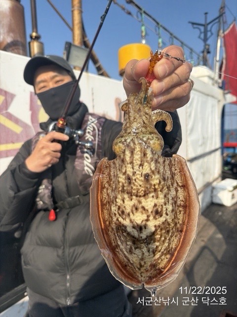 군산 선상낚시, 바다낚시 출조 전문 ☆서군산낚시☆_사진_20251122_6.jpg