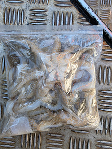 인천쭈꾸미낚시 (11).jpg