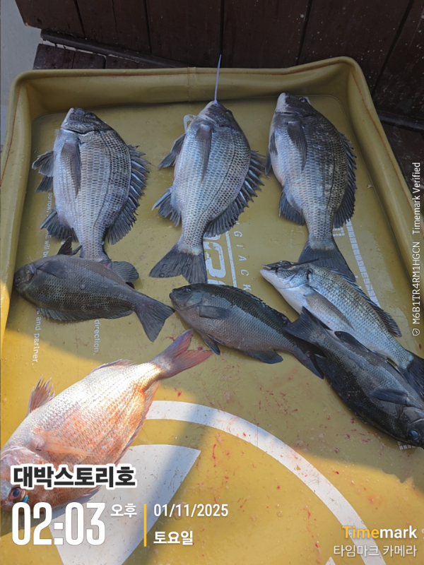 2025-11-01 02.03.23__(대박스토리호).jpg