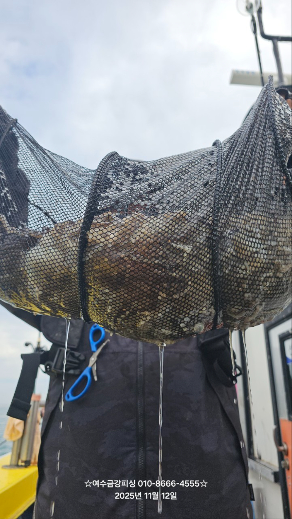 여수금강피싱_사진_20251112_6.jpg