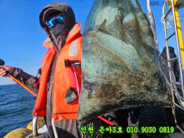 11월14 3호 (7).jpg