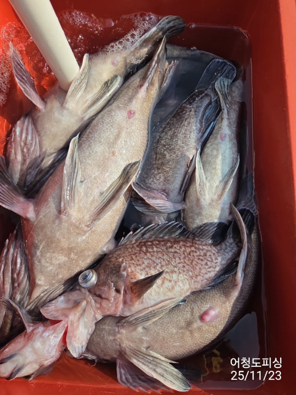 최강피싱 063.463.0800_사진_20251123_27.jpg