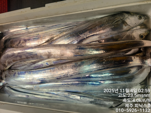 제주선상낚시피닉스호_사진_20251104_1.jpg
