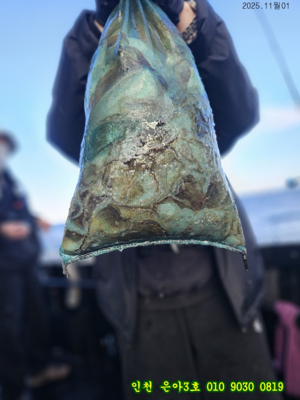 11월01 3호 (3).jpg