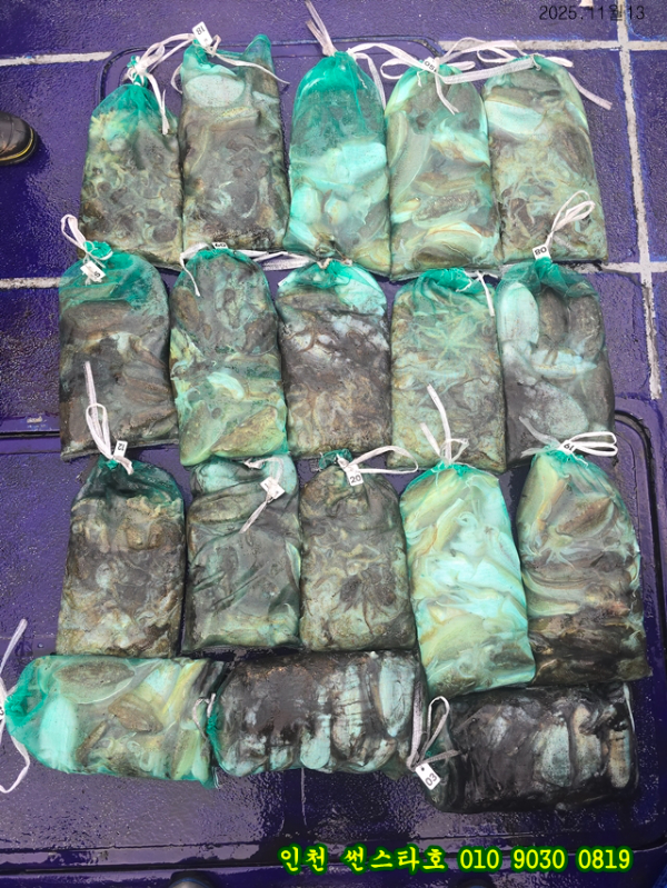 11월13 썬 (16).jpg