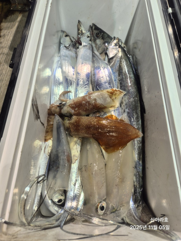 바다꾼낚시(신아라호)_사진_20251105_12.jpg