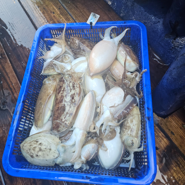 마검포 대한호(VIP)_사진_20251112_2.jpg