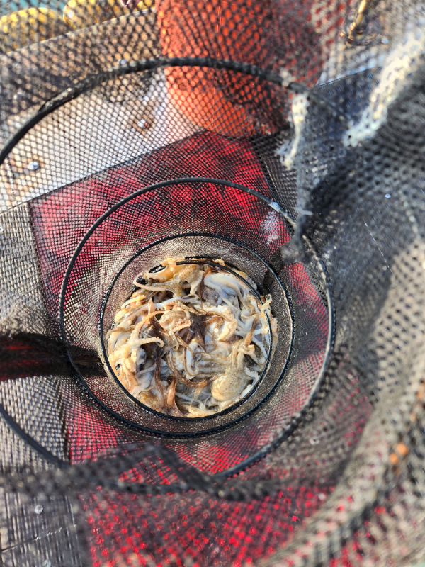 20251101_154930 (1).jpg