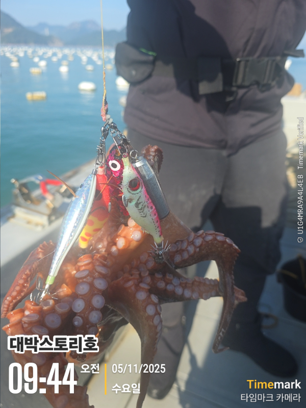 2025-11-05 09.44.34__(대박스토리호).jpg