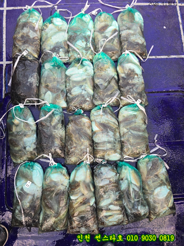 11월11 썬 (12).jpg